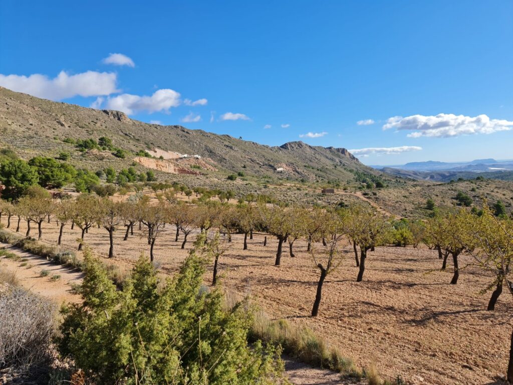 Land w La Romana - oferta MLSC6088256