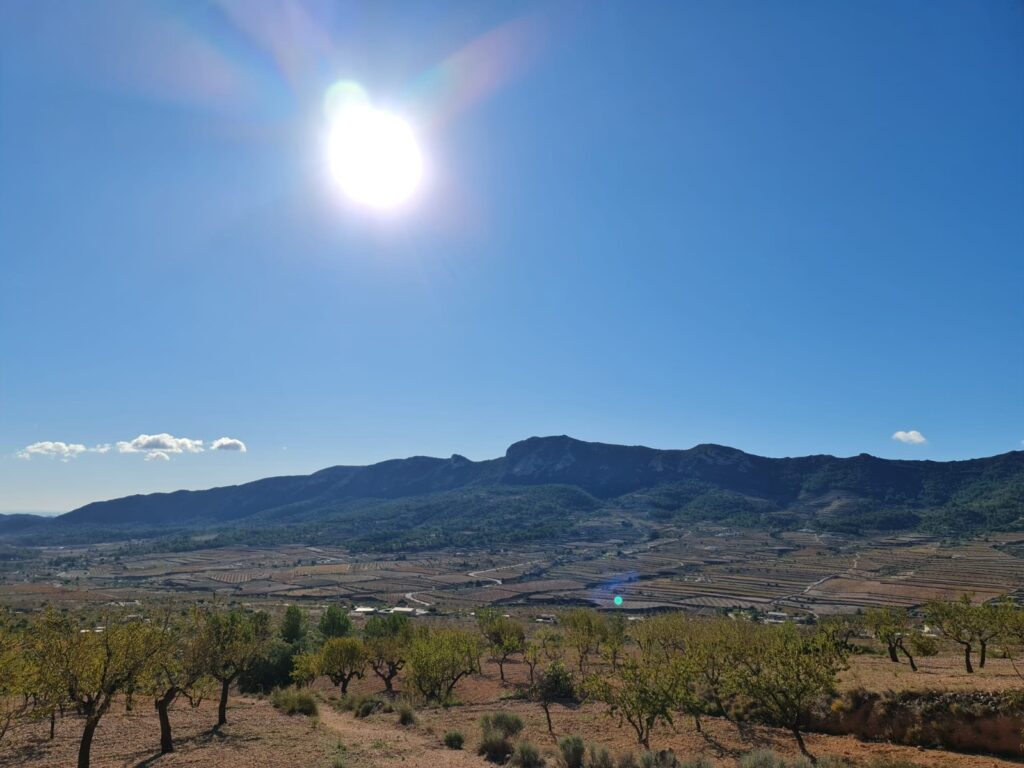 Land w La Romana - oferta MLSC6088256