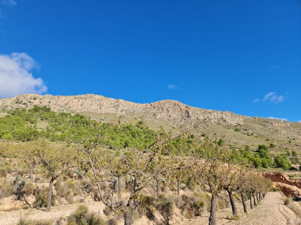 Land w La Romana - oferta MLSC6088256