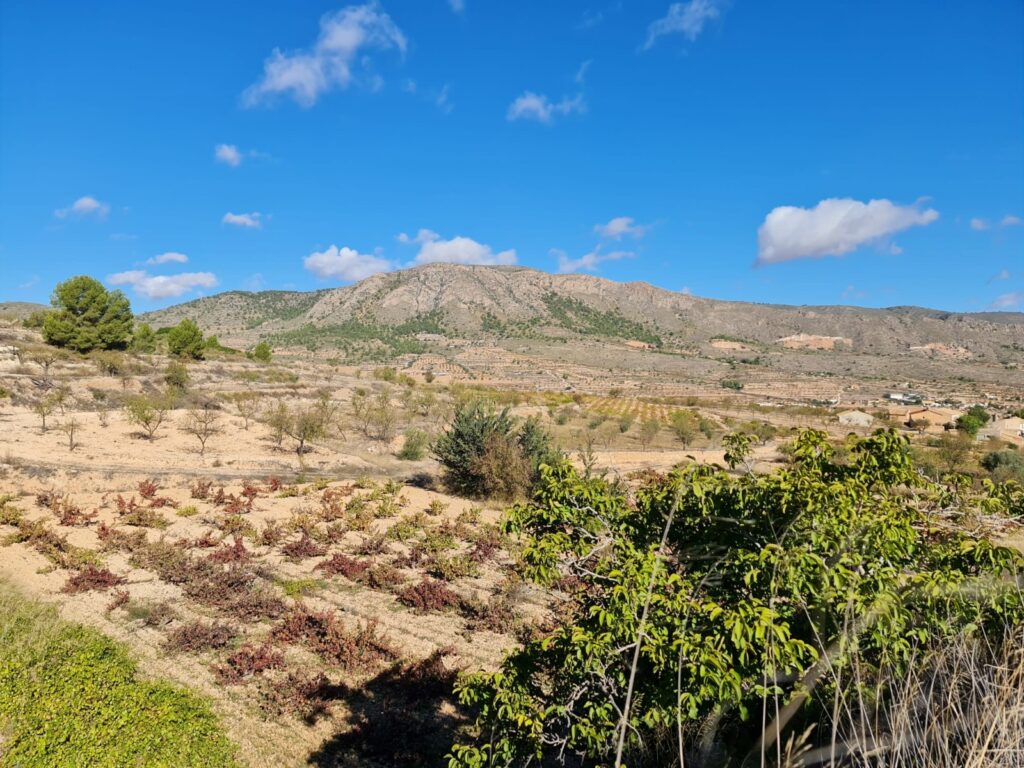 Land w La Romana - oferta MLSC7068883