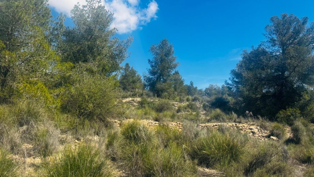 Land w La Romana - oferta MLSC7147467