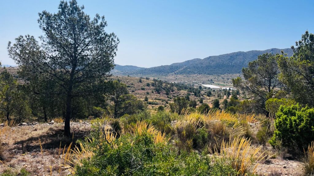 Land w La Romana - oferta MLSC7147467