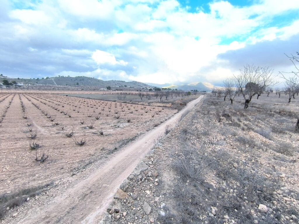 Land w La Solana - oferta MLSC1946597