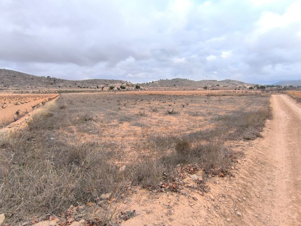 Land w La Solana - oferta MLSC3084349