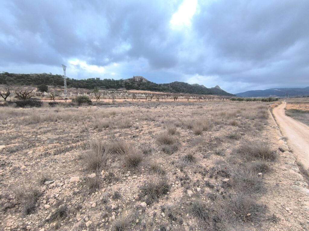 Land w La Solana - oferta MLSC5042471