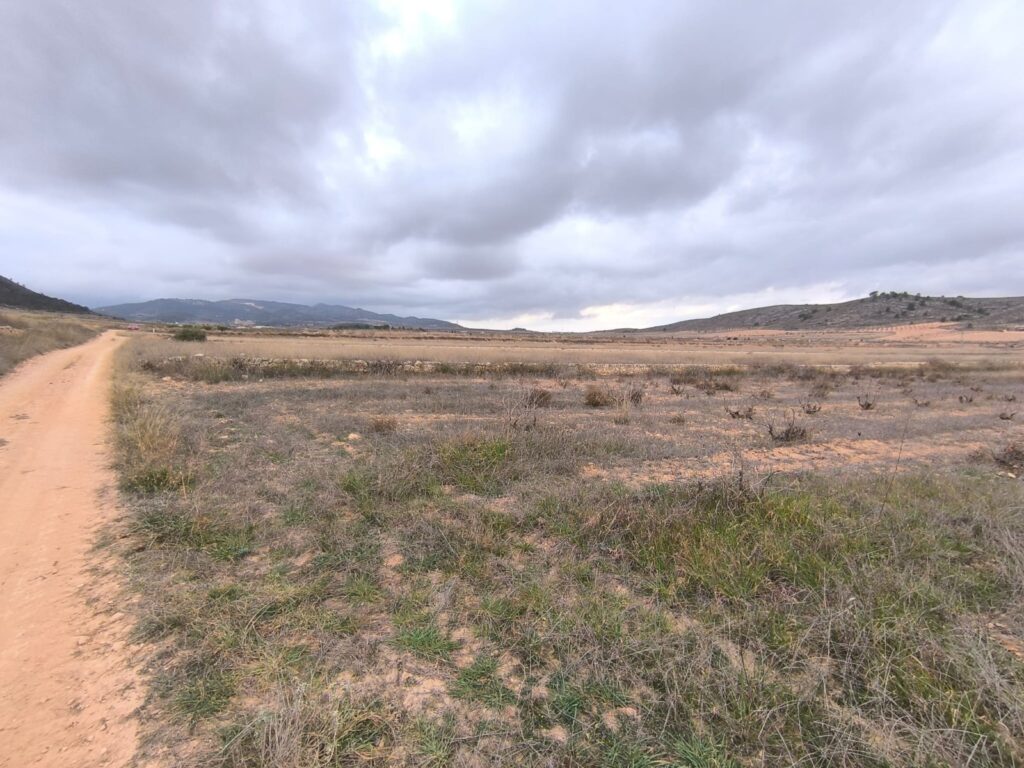 Land w La Solana - oferta MLSC5255713
