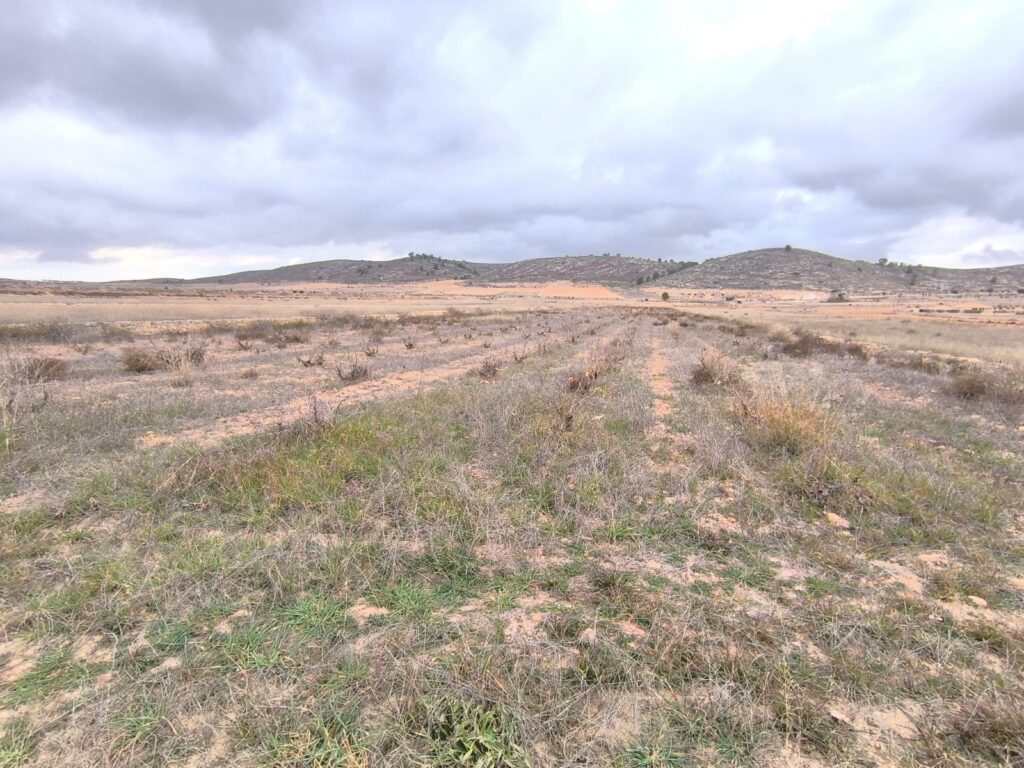 Land w La Solana - oferta MLSC5255713