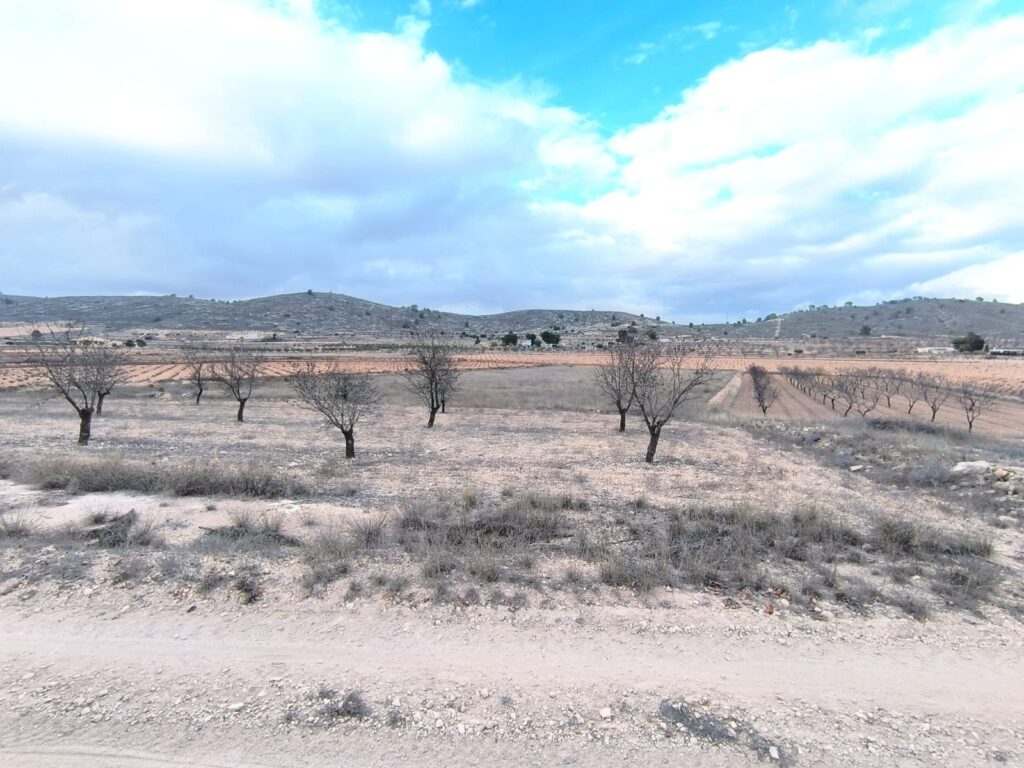 Land w La Solana - oferta MLSC5689083