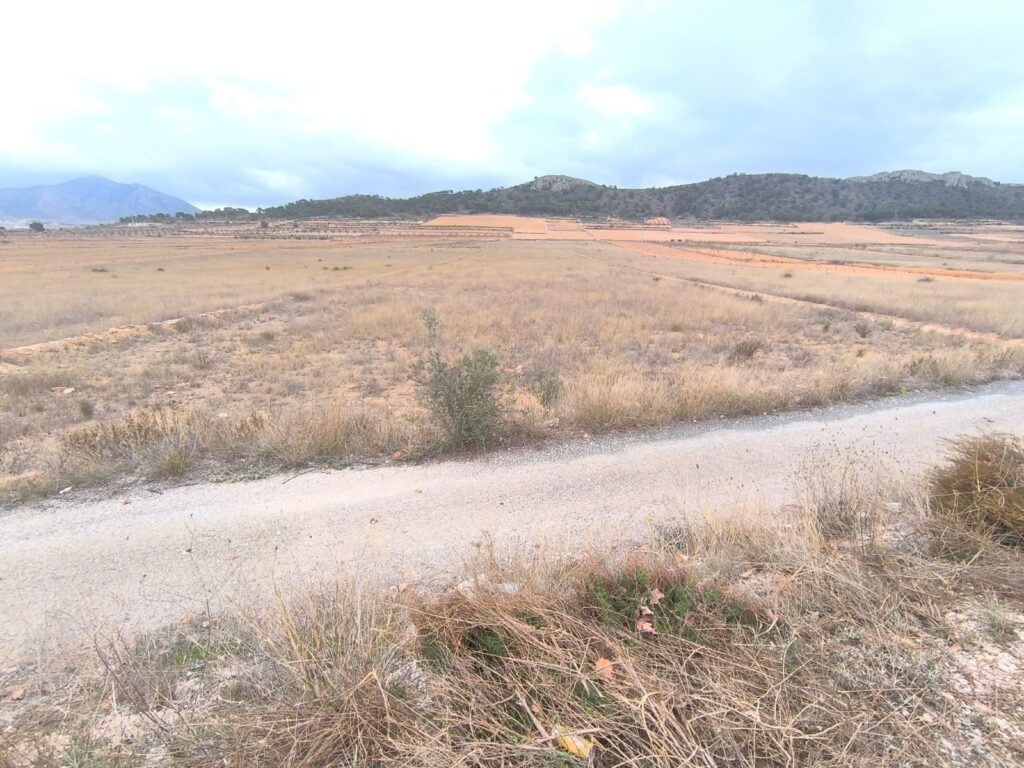 Land w La Solana - oferta MLSC8956427