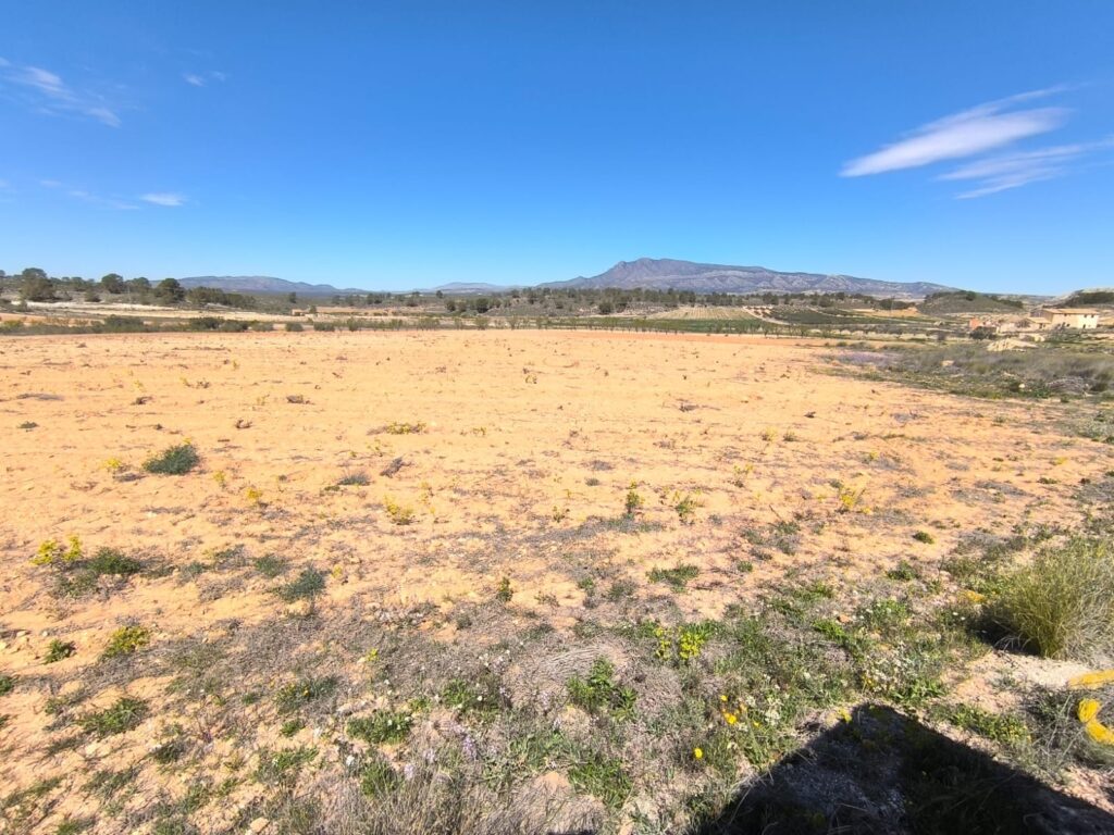 Land w La Zarza - oferta MLSC8158852