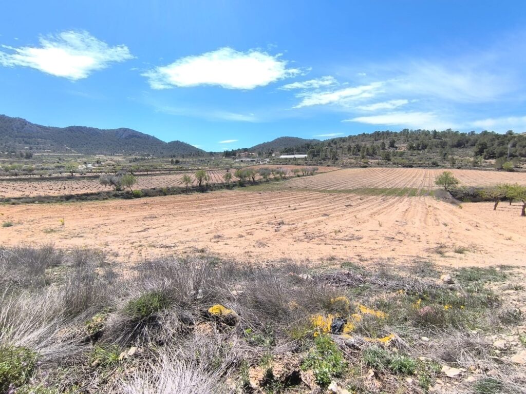 Land w La Zarza - oferta MLSC9226583