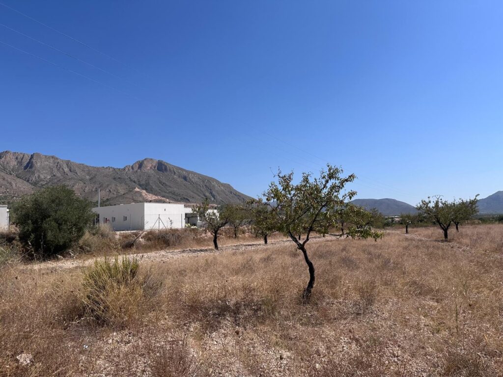 Land w Macisvenda - oferta MLSC1402596