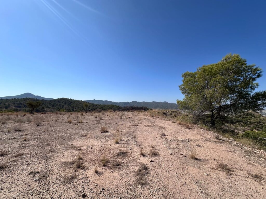 Land w Macisvenda - oferta MLSC1404303