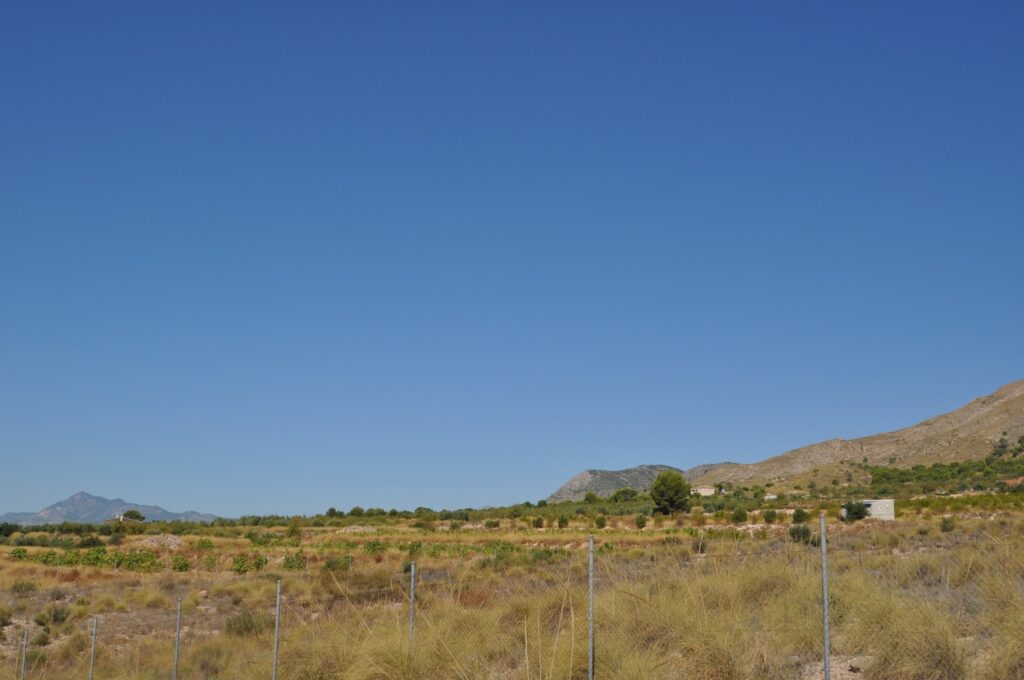 Land w Macisvenda - oferta MLSC8150540