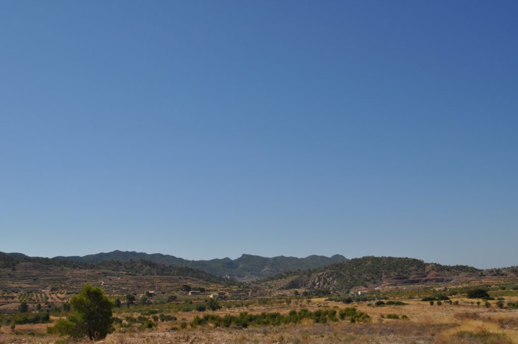 Land w Macisvenda - oferta MLSC8150540