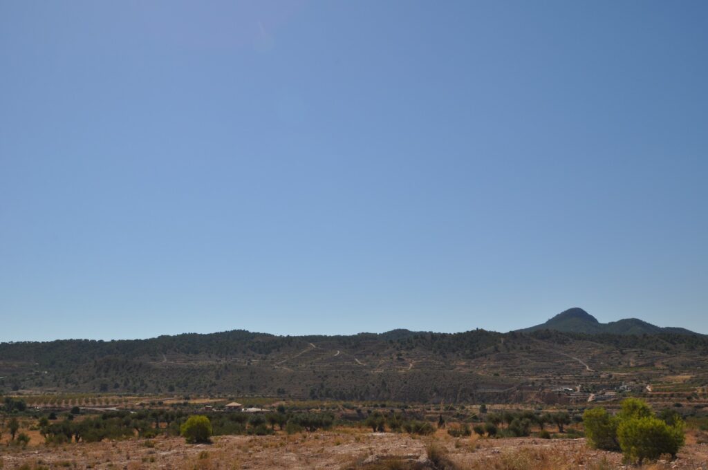 Land w Macisvenda - oferta MLSC8150540