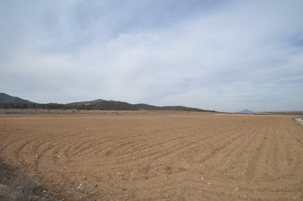 Land w Monóvar/Monóver - oferta MLSC2860873