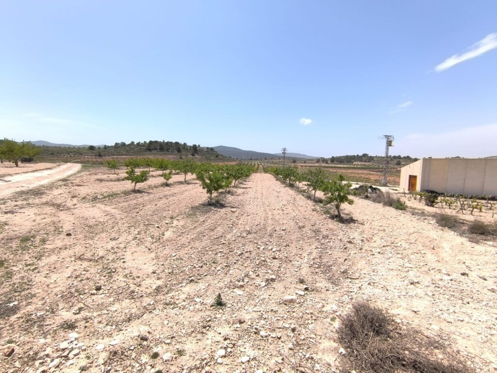 Land w Monóvar/Monóver - oferta MLSC4798591