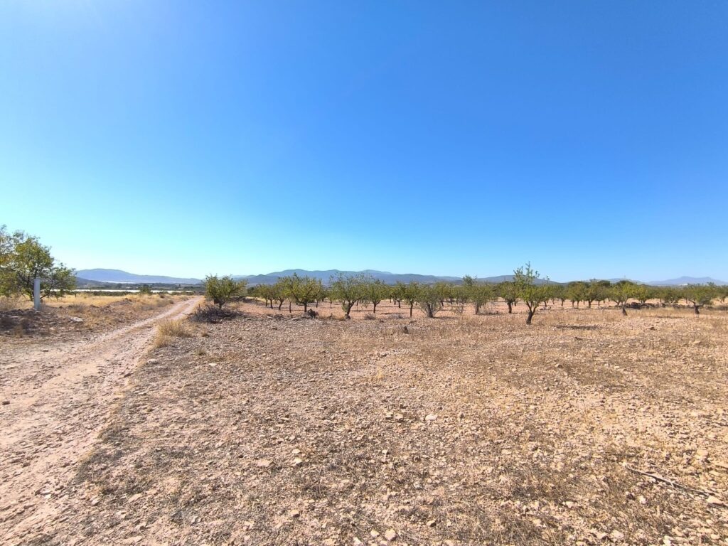 Land w Monóvar/Monóver - oferta MLSC5608498