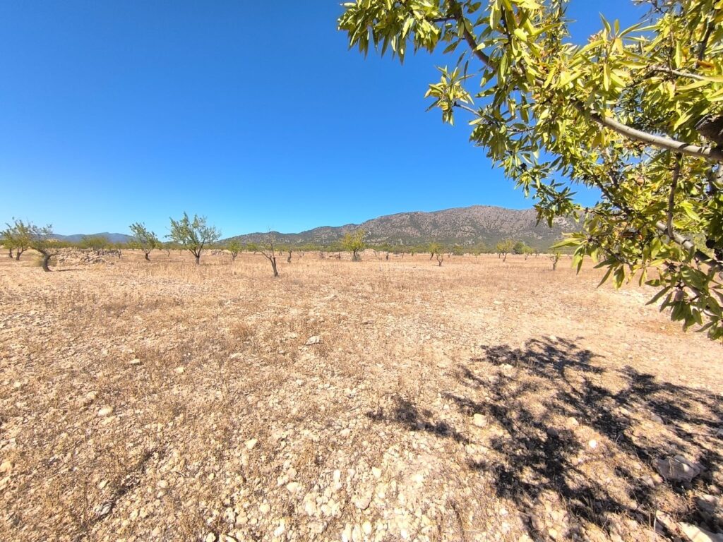 Land w Monóvar/Monóver - oferta MLSC5608498