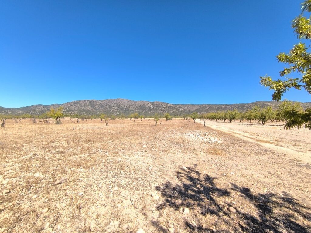 Land w Monóvar/Monóver - oferta MLSC5608498