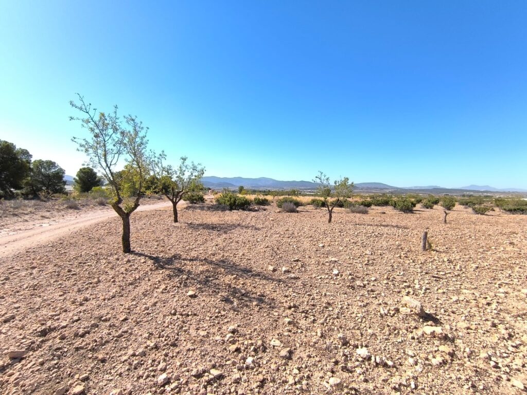 Land w Monóvar/Monóver - oferta MLSC6533644