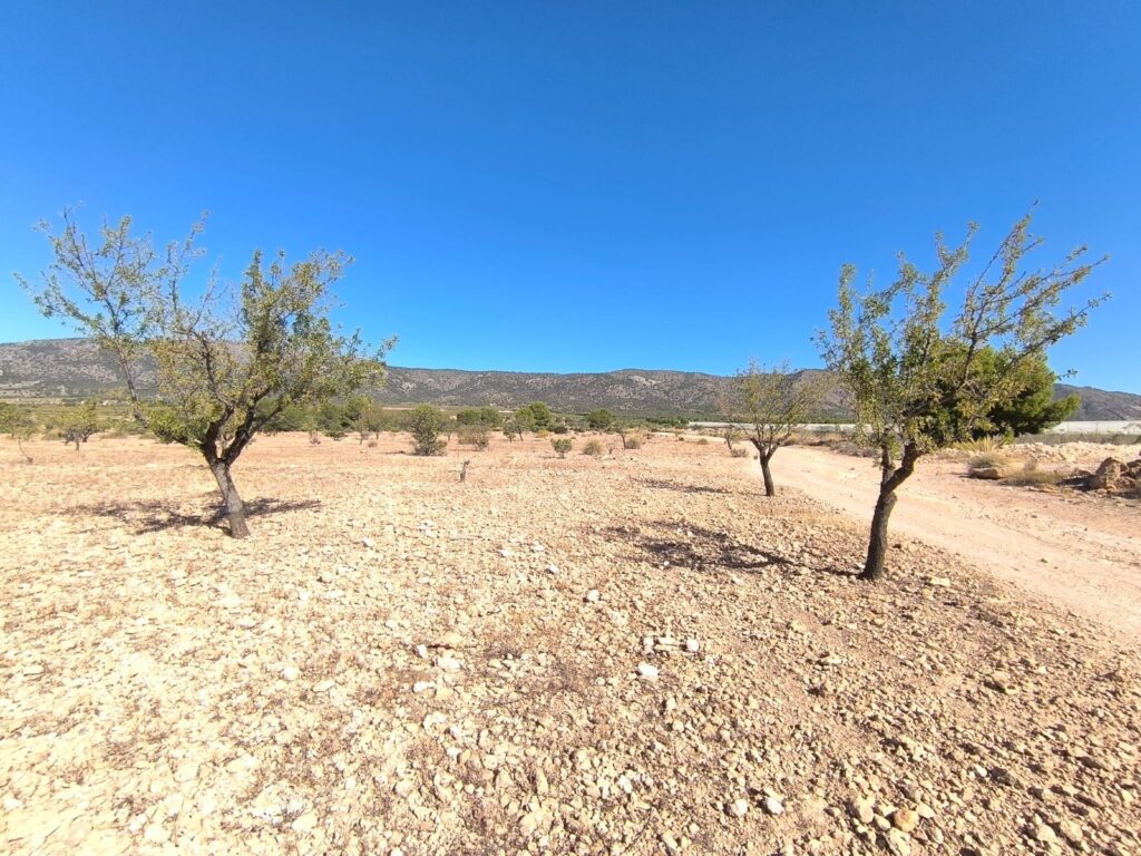 Land w Monóvar/Monóver - oferta MLSC6533644
