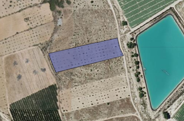 Land w Monóvar/Monóver - oferta MLSC6533644