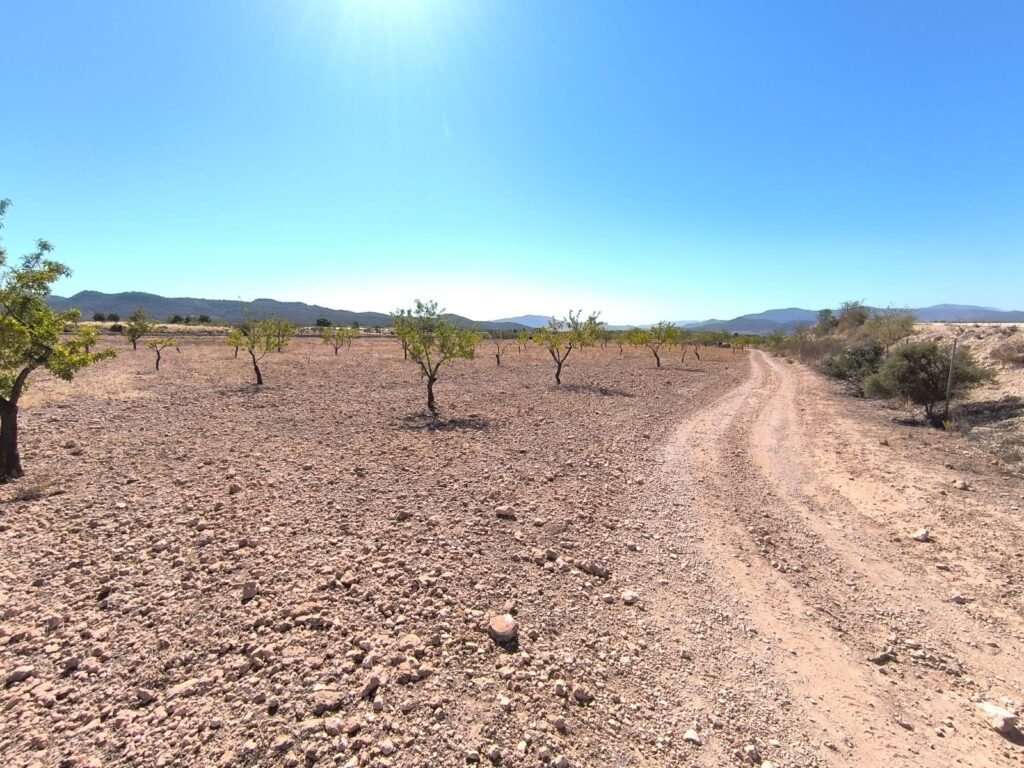 Land w Monóvar/Monóver - oferta MLSC7081361
