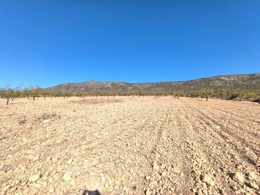Land w Monóvar/Monóver - oferta MLSC9979089
