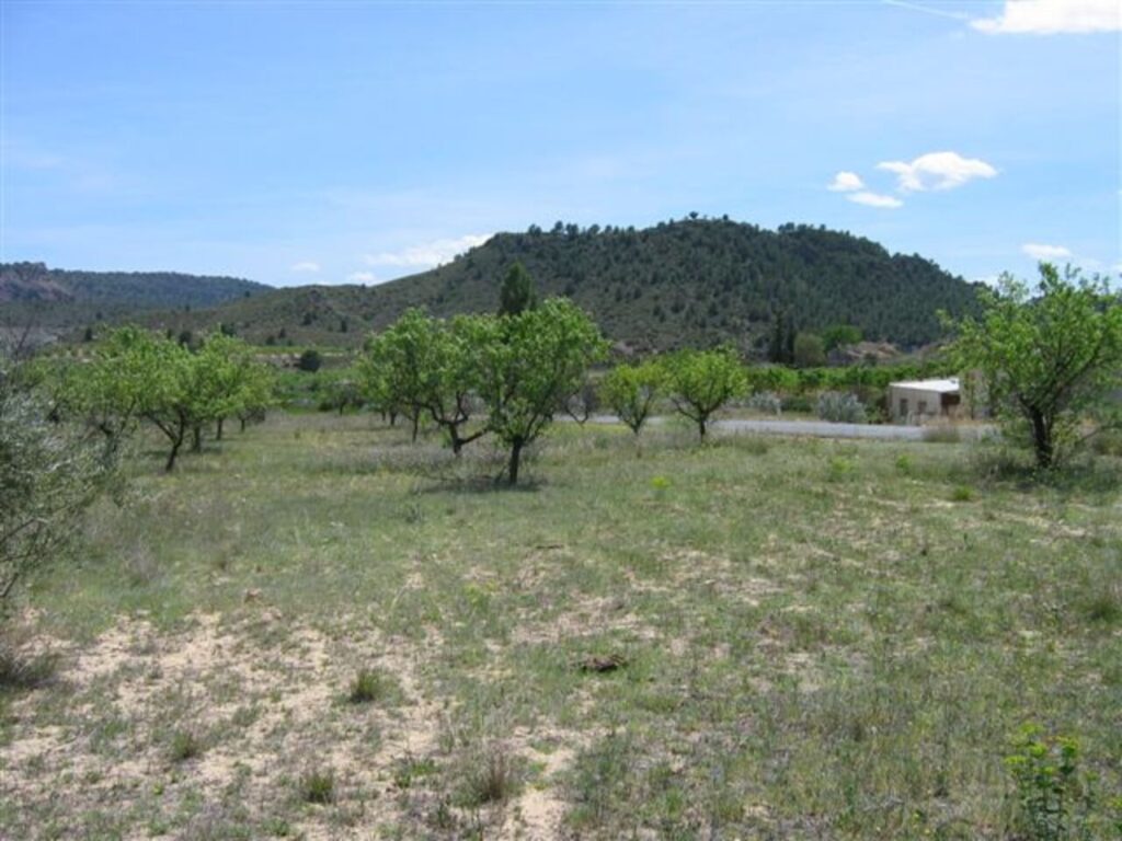 Land w Murcia - oferta MLSC934198