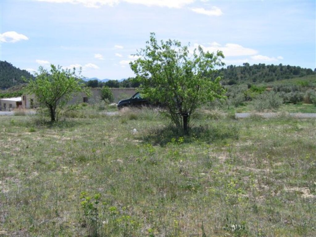 Land w Murcia - oferta MLSC934198