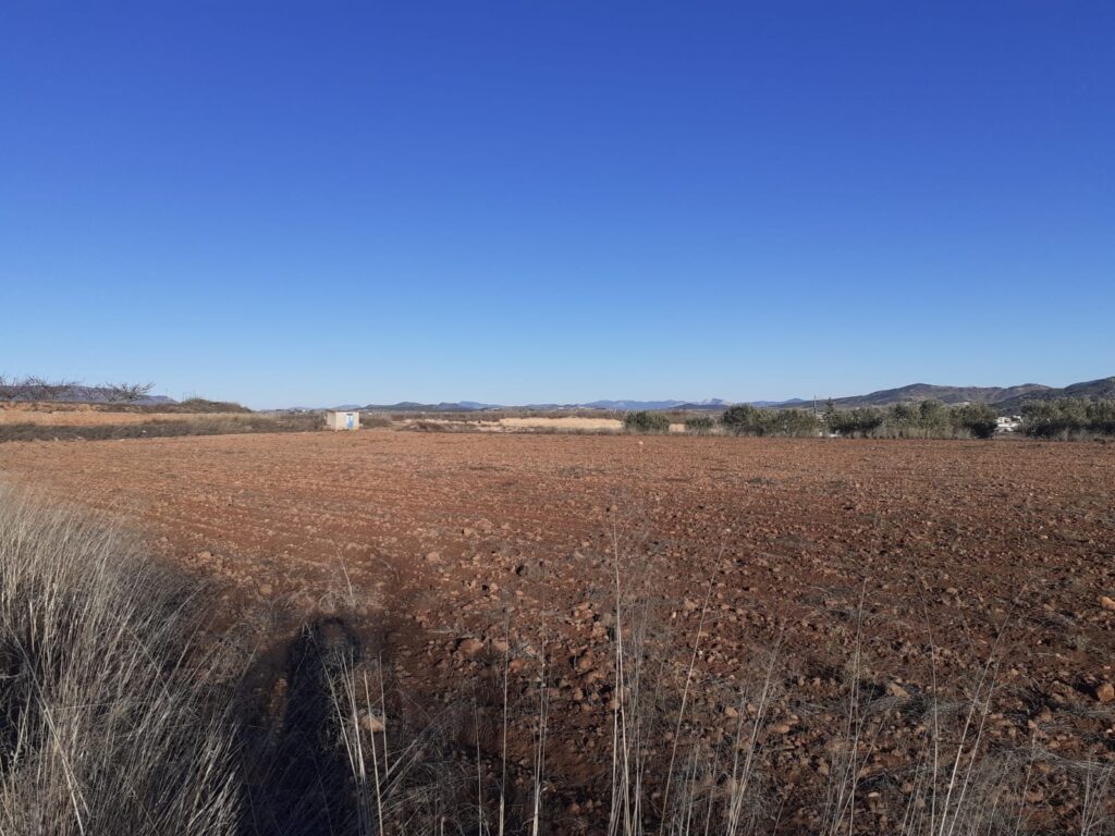 Land w Pinoso - oferta MLSC3547544