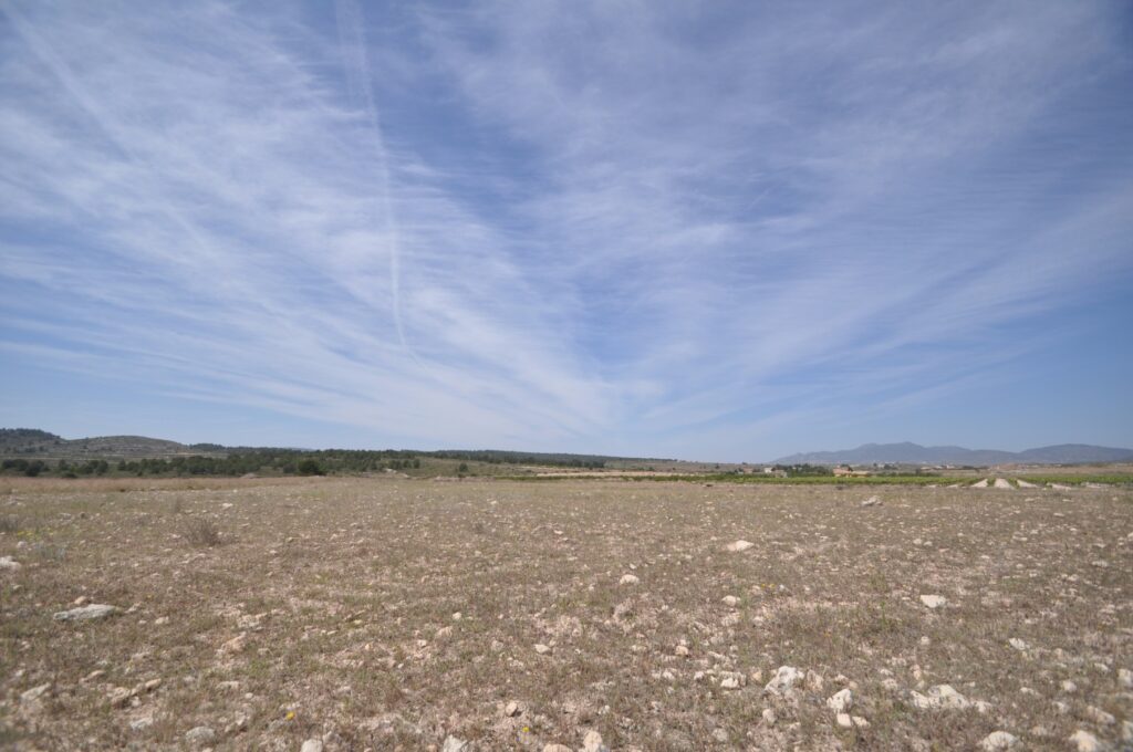 Land w Pinoso - oferta MLSC513475
