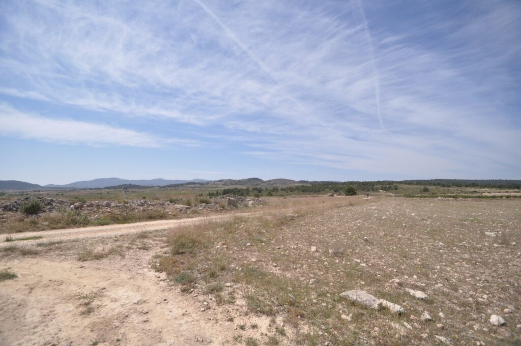 Land w Pinoso - oferta MLSC513475