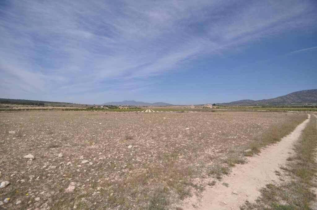 Land w Pinoso - oferta MLSC513475