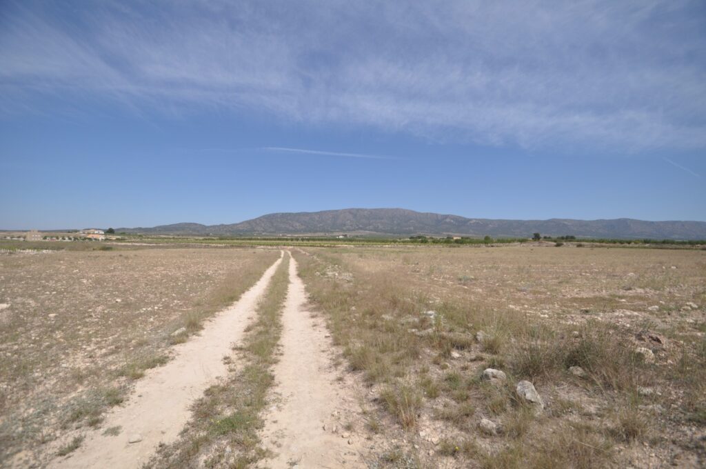 Land w Pinoso - oferta MLSC513475