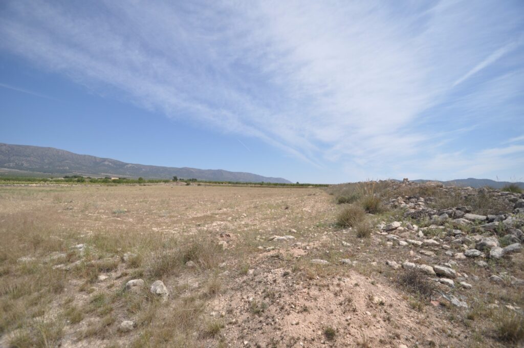 Land w Pinoso - oferta MLSC513475