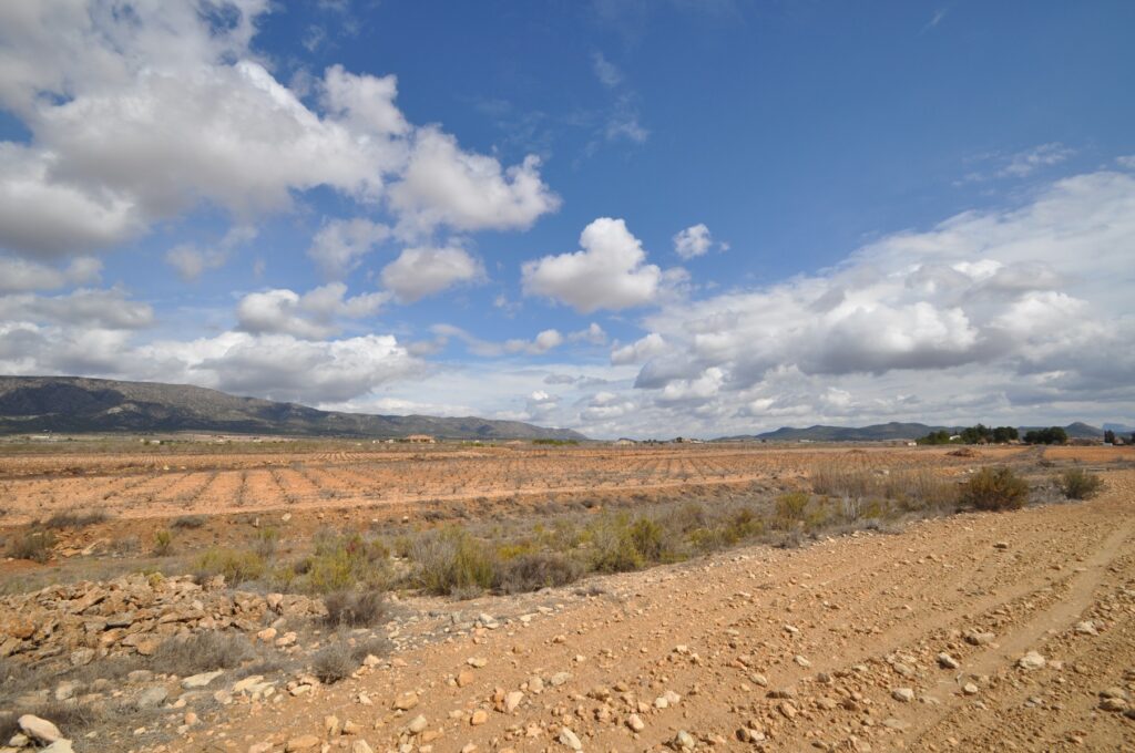 Land w Pinoso - oferta MLSC5641436
