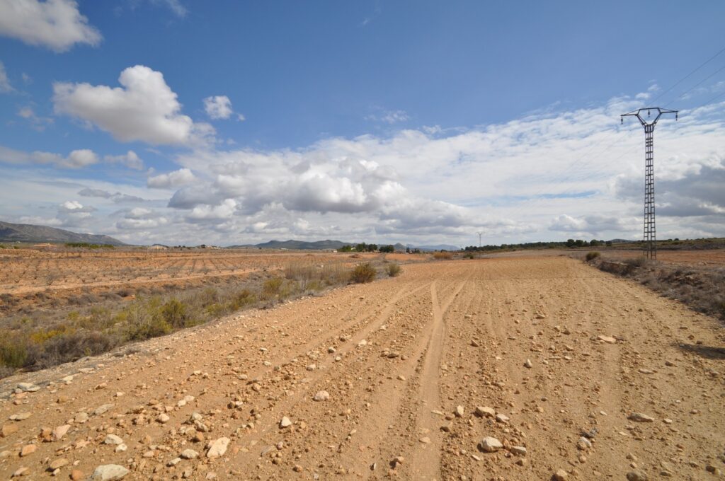 Land w Pinoso - oferta MLSC5641436