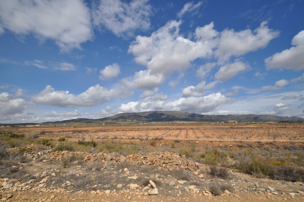 Land w Pinoso - oferta MLSC5641436