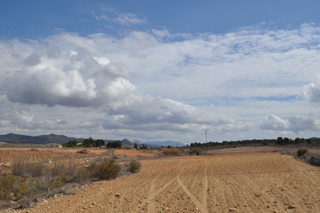 Land w Pinoso - oferta MLSC5641436