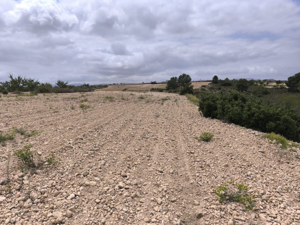 Land w Pinoso - oferta MLSC5785041