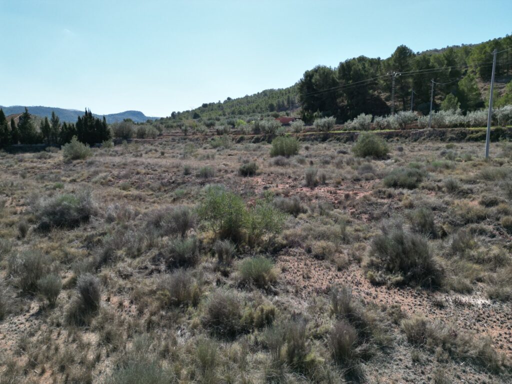 Land w Pinoso - oferta MLSC6837388