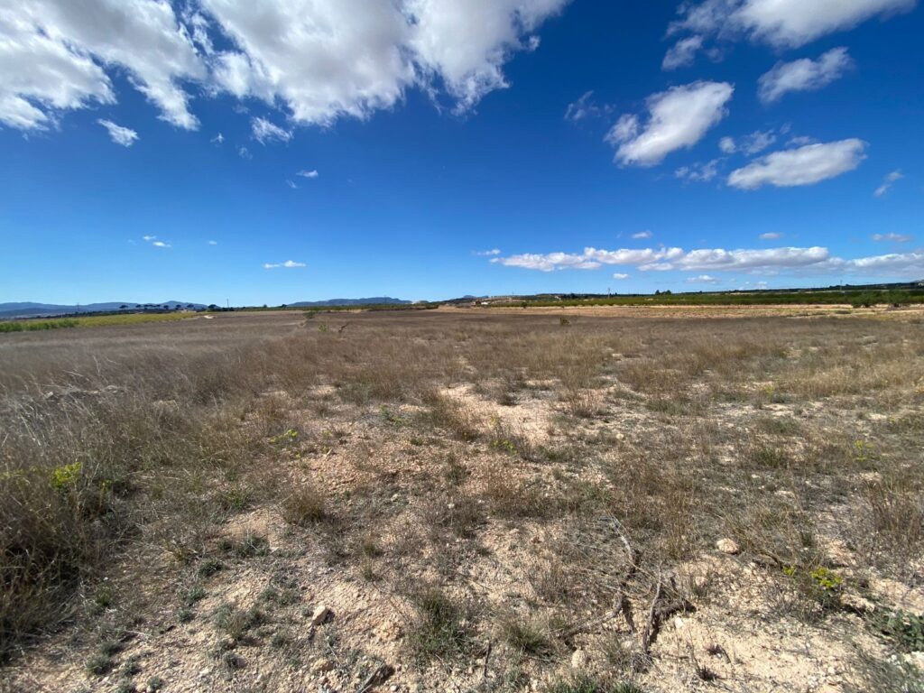 Land w Pinoso - oferta MLSC7265246