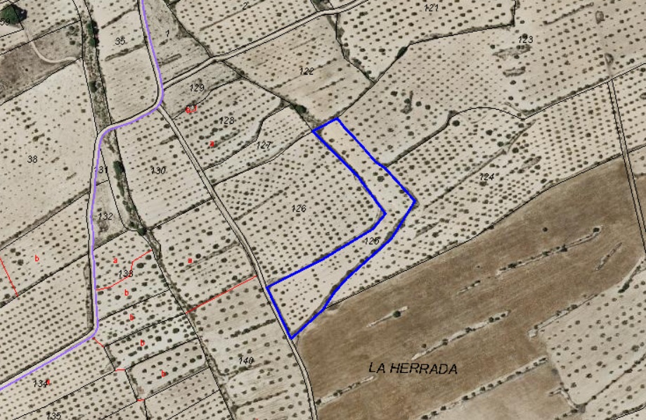 Land w Pinoso - oferta MLSC8790791