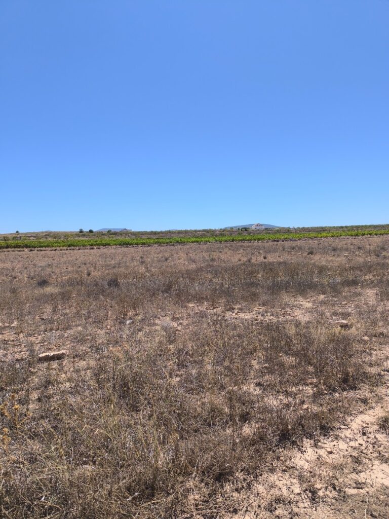 Land w Pinoso - oferta MLSC9143002