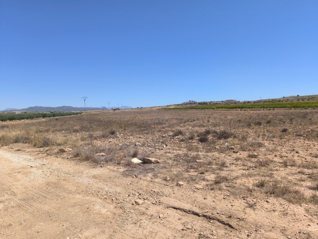 Land w Pinoso - oferta MLSC9143002