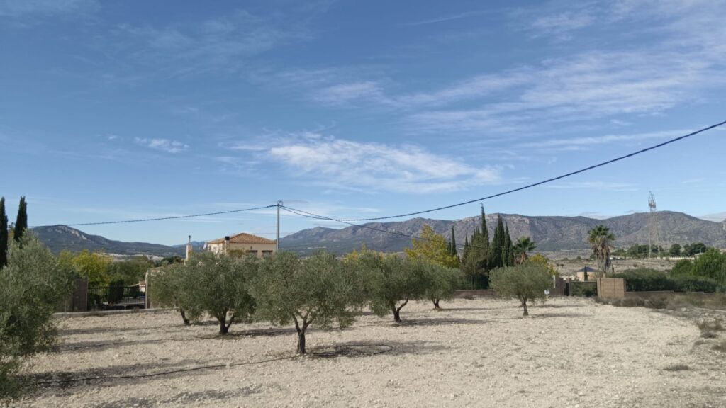 Land w Salinas - oferta MLSC1023691