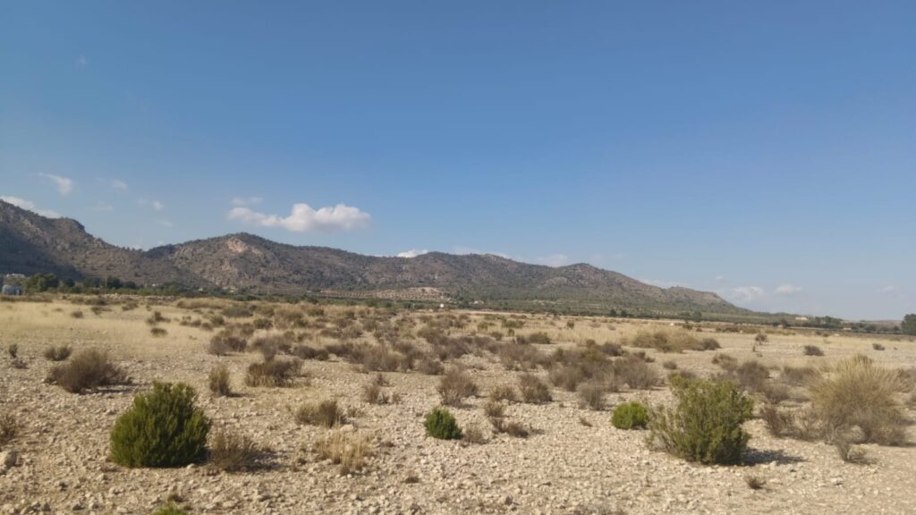 Land w Salinas - oferta MLSC1526119